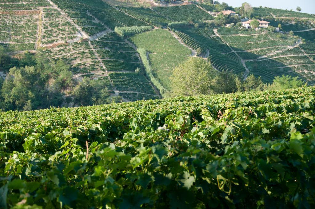 Cadgal - Tenuta Valdivilla Santo Stefano Belbo Zewnętrze zdjęcie